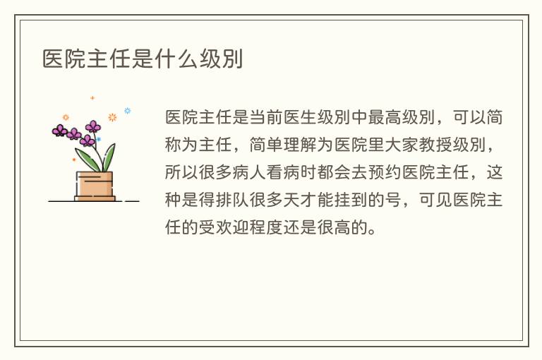 医院主任是什么级别